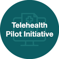  Telehealth Pilot Initiative