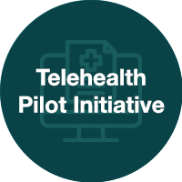  Telehealth Pilot Initiative
