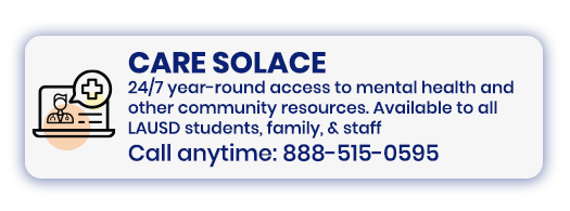 Care Solace - 24/7 Year Round Access to Mental Health and other Community Resources - button