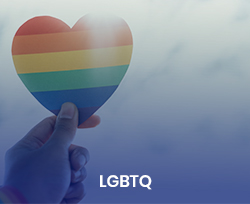  LGBTQ