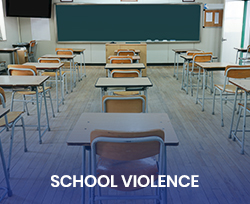 School Violence