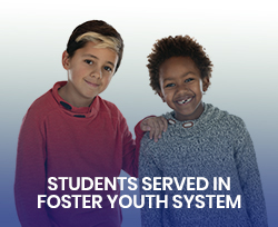  Students Served in the Foster Youth System