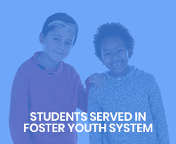  Students Served in the Foster Youth System