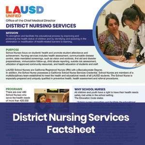 District Nursing Services Factsheet - handout