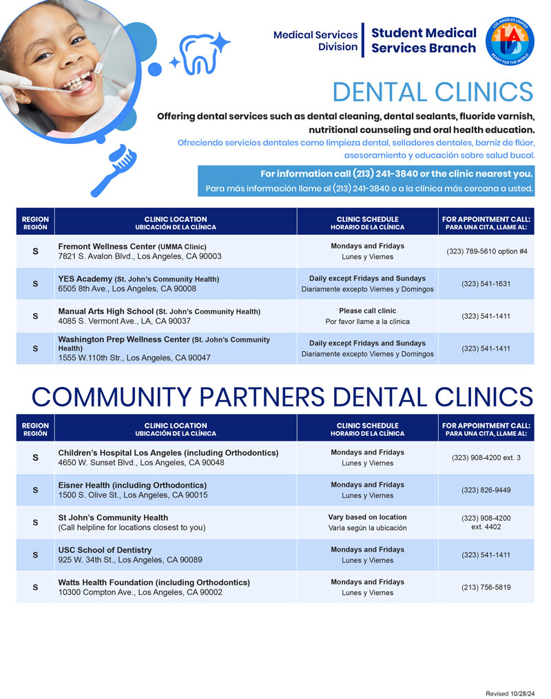 Dental Clinics - Flyer -Region South
