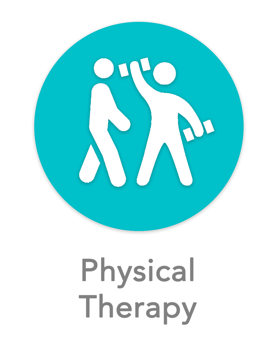Physical Therapy Icon