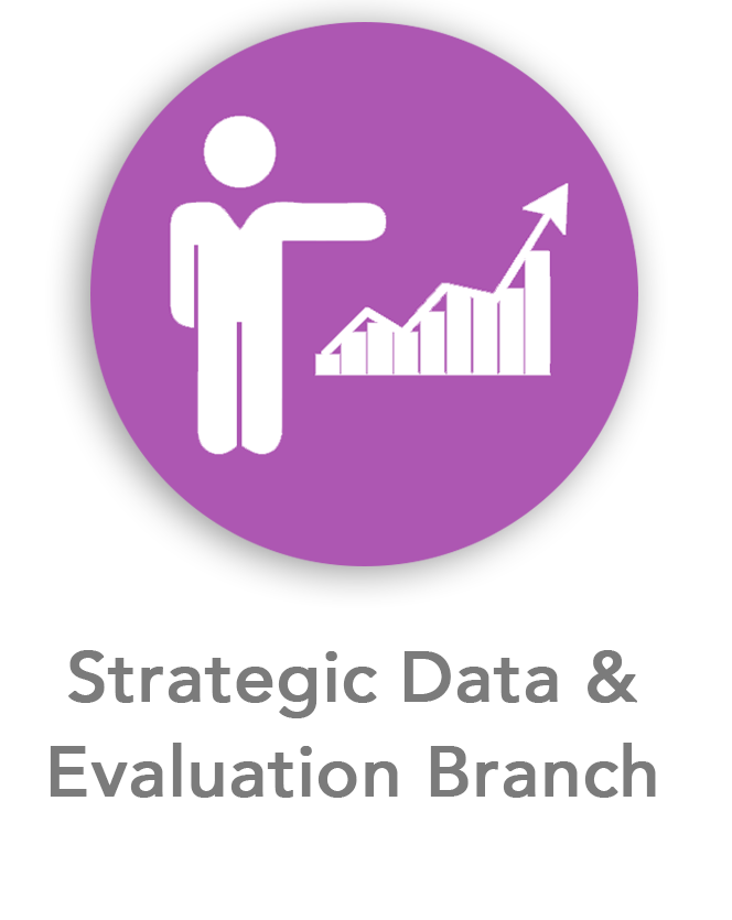Strategic Data
