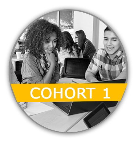 Cohort 1 