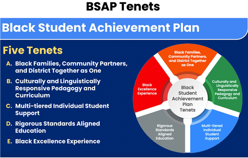 BSAP Tenets