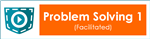 pocket problem solving 