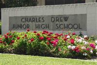 Drew 