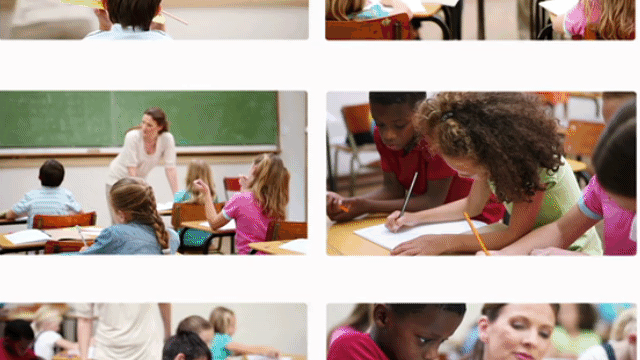 IB Coordinator's Image 