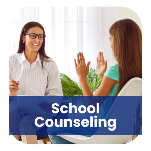 School 
	Counseling Services