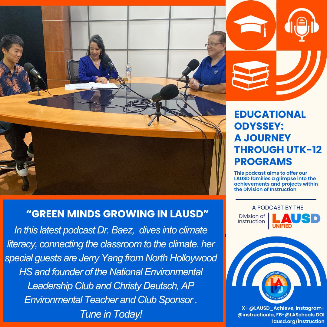 Educational Odyssey: A Journey Through K-12 Programs