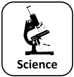 Science 