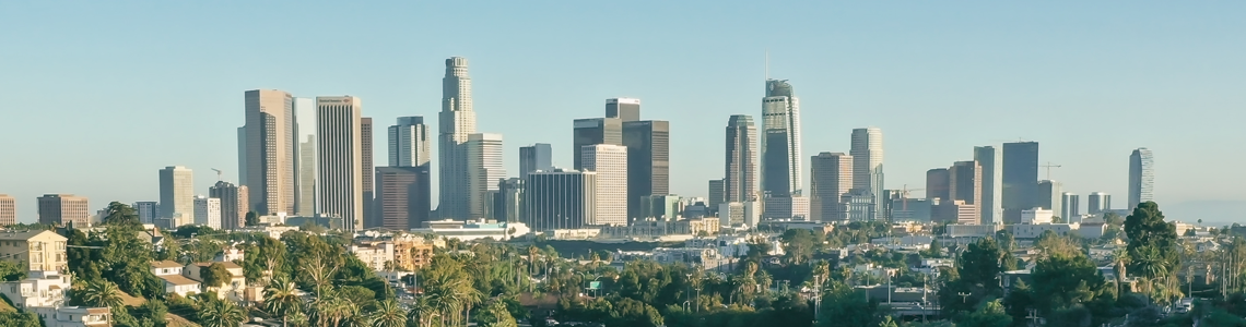 City of Los Angeles 