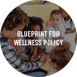  Blueprint for Wellness Policy