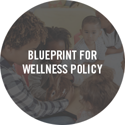 Blueprint for Wellness Policy