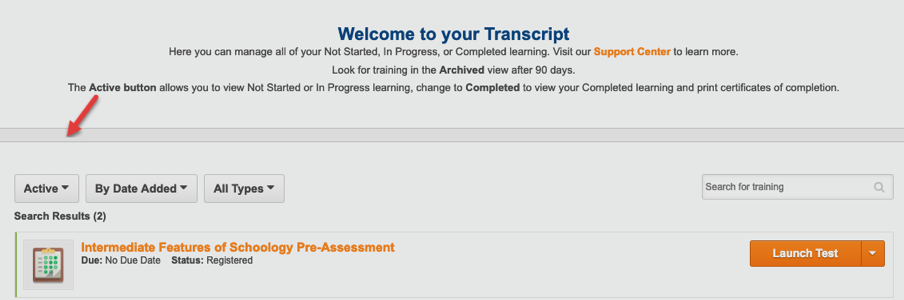 Screenshot 2 Welcome to your Transcript Window