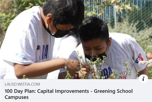 Greening Our Schools
