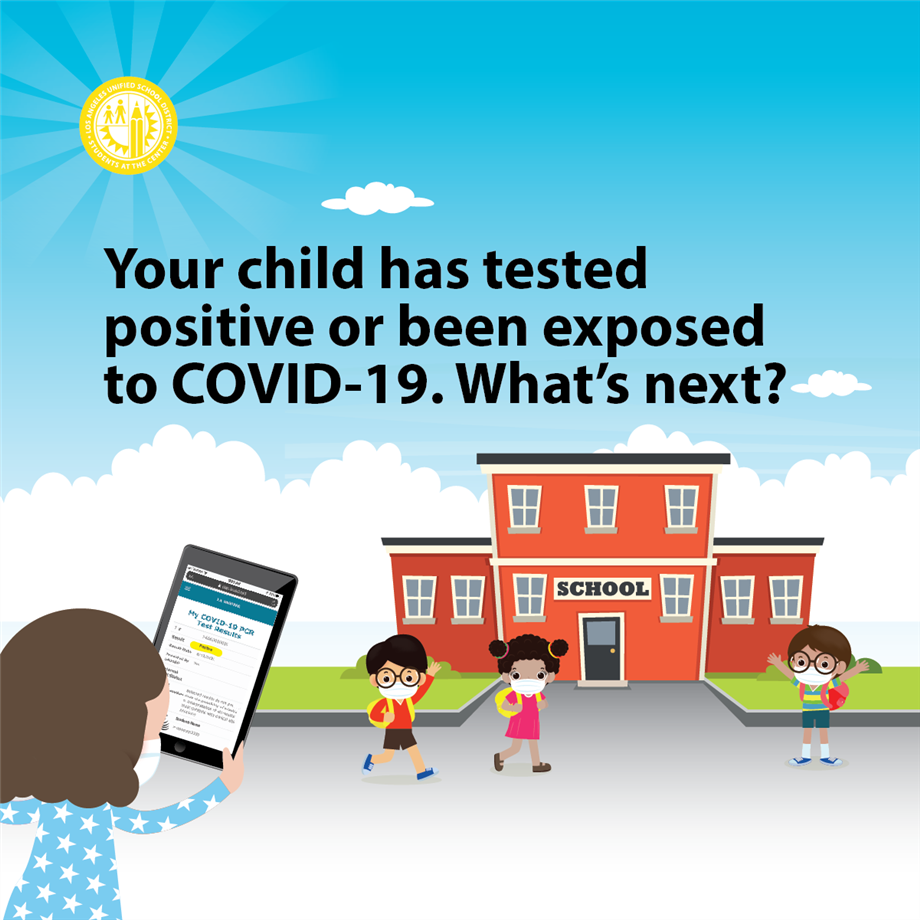 covid positive or exposed_english