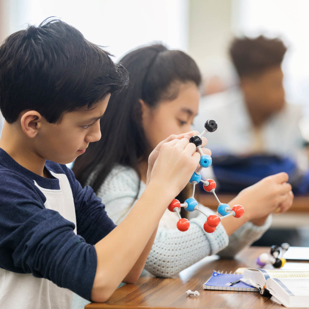 Students with a science project
