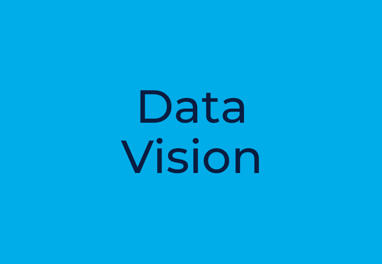 Data Vision 