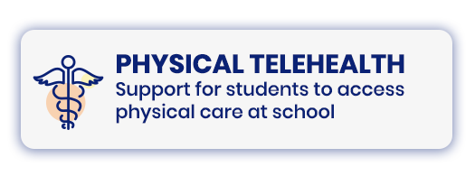 Physical Telehealth button