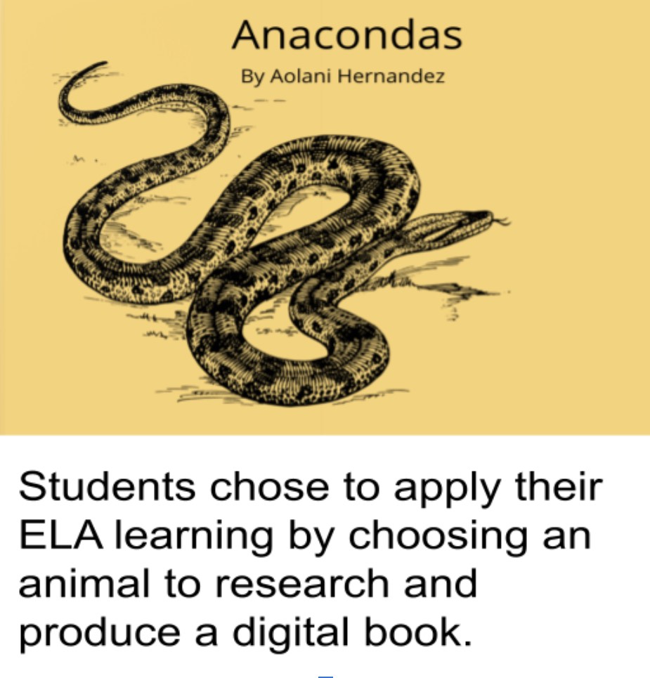 picture of an anaconda