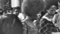 Angela Davis enters Royce Hall for first lecture