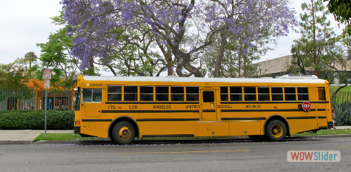 Transportation Services