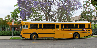 Transportation Services
