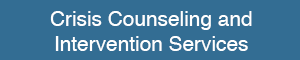 Crisis Counseling and Intervention Services