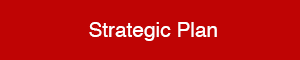 Strategic Plan