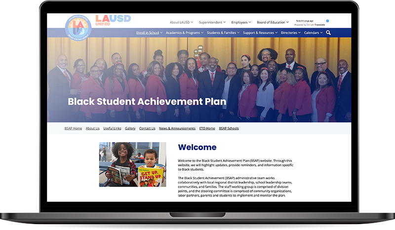 BSAP website
